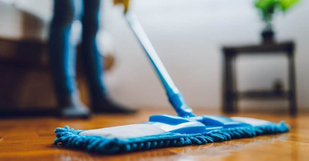 Keep home clean with pets