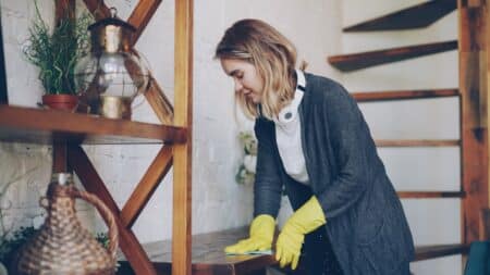 local house cleaning service washington
